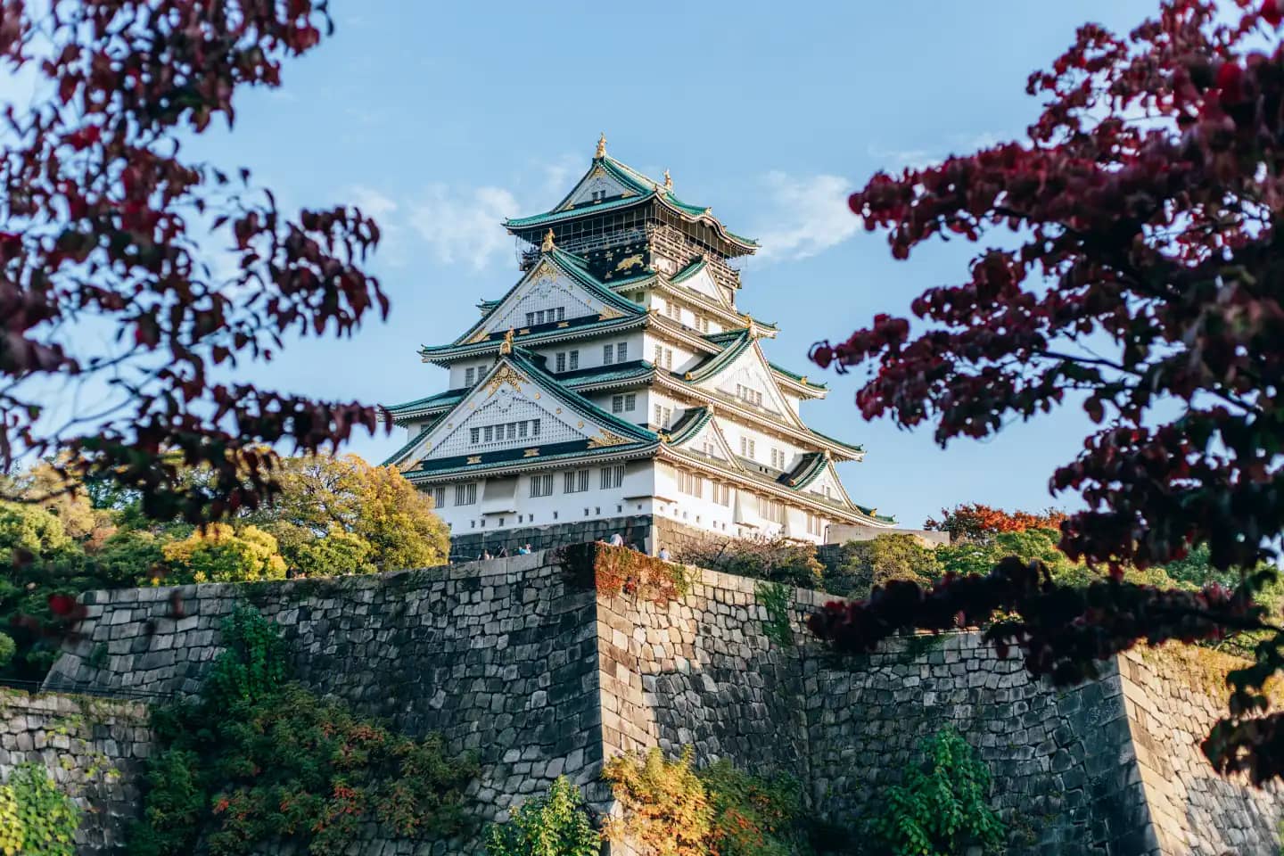 Osaka Castle omringd door kersenbloesem